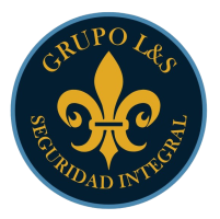 Aula Virtual Grupo L&S