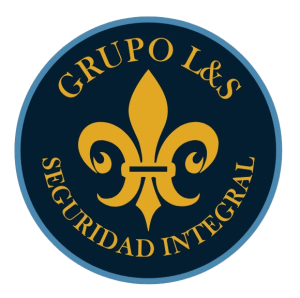 Aula Virtual Grupo L&S